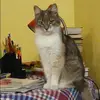 Отзыв от Наталья Соколова